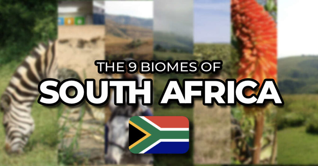 south african biomes