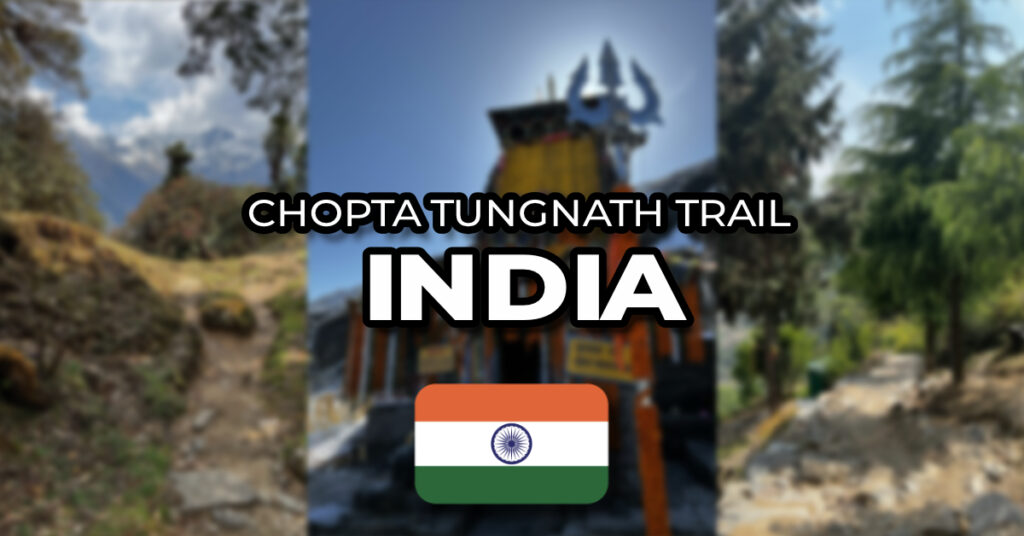 chopta tungnath trail india